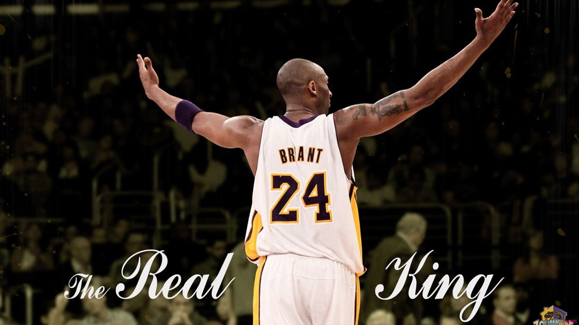 爱游戏官方入口-欧文末节风暴撕裂开拓者,当神仙球成为战术,奇才的防守噩梦如何炼成?